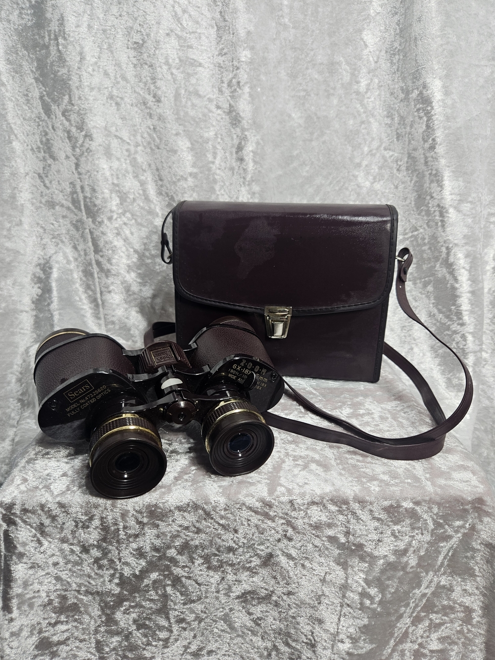Vintage Sears Binoculars with Matching Case - Dark Brown